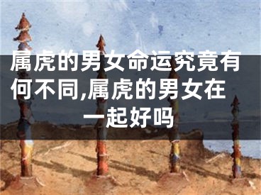 属虎的男女命运究竟有何不同,属虎的男女在一起好吗