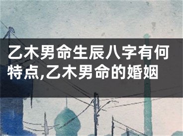 乙木男命生辰八字有何特点,乙木男命的婚姻