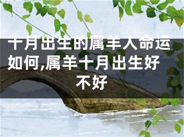 十月出生的属羊人命运如何,属羊十月出生好不好