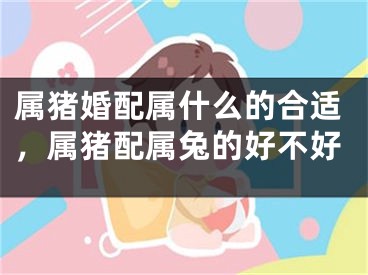 属猪婚配属什么的合适，属猪配属兔的好不好
