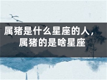 属猪是什么星座的人，属猪的是啥星座