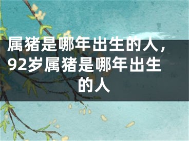 属猪是哪年出生的人，92岁属猪是哪年出生的人