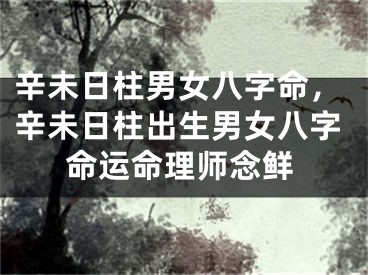 辛未日柱男女八字命，辛未日柱出生男女八字命运命理师念鲜