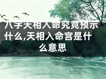 八字天相入命究竟预示什么,天相入命宫是什么意思
