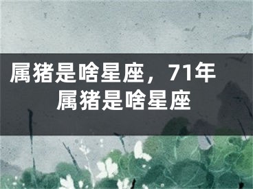 属猪是啥星座，71年属猪是啥星座
