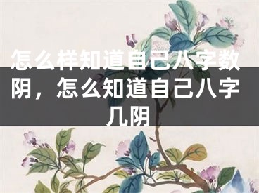 怎么样知道自己八字数阴，怎么知道自己八字几阴