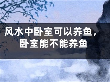 风水中卧室可以养鱼，卧室能不能养鱼