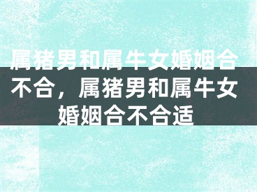 属猪男和属牛女婚姻合不合，属猪男和属牛女婚姻合不合适