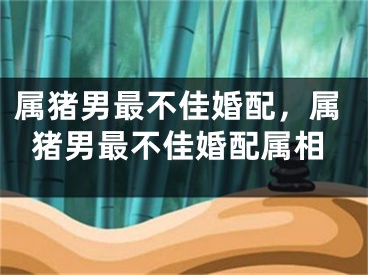 属猪男最不佳婚配，属猪男最不佳婚配属相
