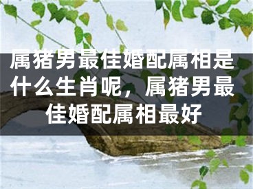 属猪男最佳婚配属相是什么生肖呢，属猪男最佳婚配属相最好