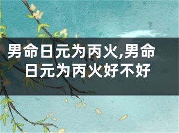 男命日元为丙火,男命日元为丙火好不好