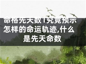 命格先天数1究竟预示怎样的命运轨迹,什么是先天命数