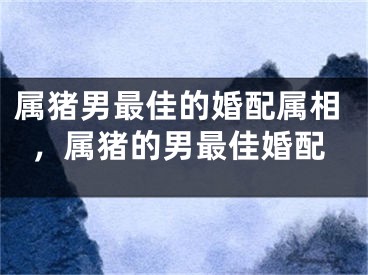 属猪男最佳的婚配属相，属猪的男最佳婚配