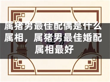 属猪男最佳配偶是什么属相，属猪男最佳婚配属相最好