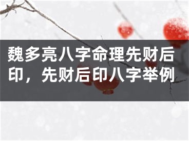 魏多亮八字命理先财后印，先财后印八字举例