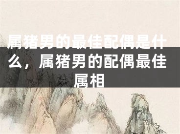 属猪男的最佳配偶是什么，属猪男的配偶最佳属相