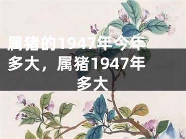 属猪的1947年今年多大，属猪1947年多大