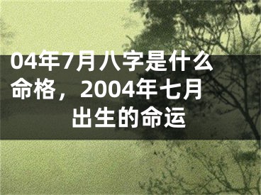 04年7月八字是什么命格，2004年七月出生的命运