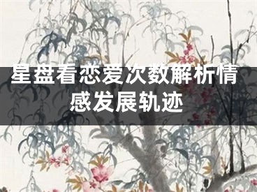 星盘看恋爱次数解析情感发展轨迹