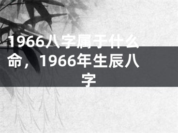 1966八字属于什么命，1966年生辰八字
