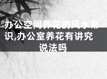 办公空间养花的风水常识,办公室养花有讲究说法吗