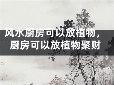 风水厨房可以放植物，厨房可以放植物聚财
