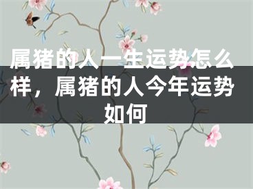 属猪的人一生运势怎么样，属猪的人今年运势如何