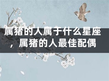 属猪的人属于什么星座，属猪的人最佳配偶