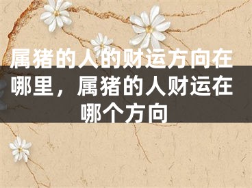 属猪的人的财运方向在哪里，属猪的人财运在哪个方向