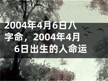 2004年4月6日八字命，2004年4月6日出生的人命运