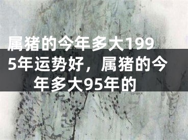 属猪的今年多大1995年运势好,属猪的今年多大95年的