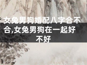 女兔男狗婚配八字合不合,女兔男狗在一起好不好