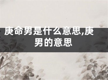 庚命男是什么意思,庚男的意思