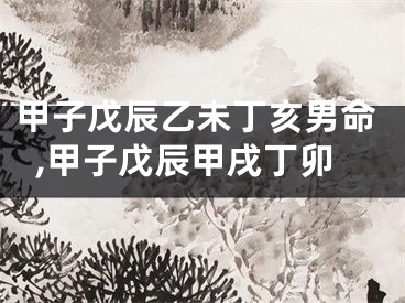 甲子戊辰乙未丁亥男命,甲子戊辰甲戌丁卯