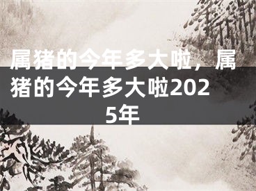 属猪的今年多大啦，属猪的今年多大啦2025年