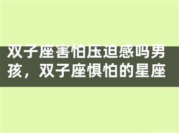 双子座害怕压迫感吗男孩，双子座惧怕的星座