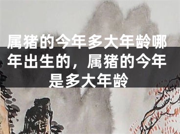 属猪的今年多大年龄哪年出生的，属猪的今年是多大年龄