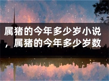 属猪的今年多少岁小说，属猪的今年多少岁数