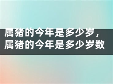 属猪的今年是多少岁，属猪的今年是多少岁数