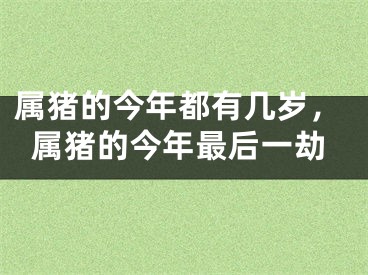属猪的今年都有几岁，属猪的今年最后一劫