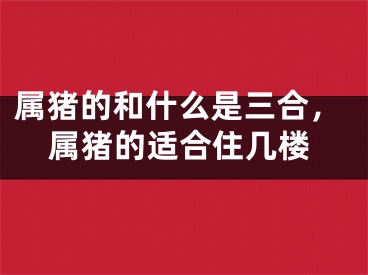 属猪的和什么是三合，属猪的适合住几楼