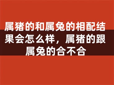 属猪的和属兔的相配结果会怎么样，属猪的跟属兔的合不合