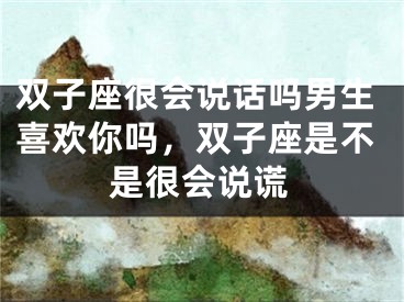 双子座很会说话吗男生喜欢你吗，双子座是不是很会说谎