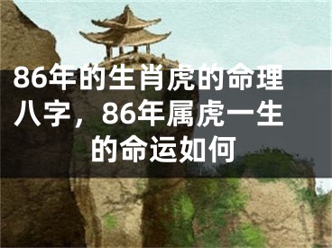 86年的生肖虎的命理八字,86年属虎一生的命运如何