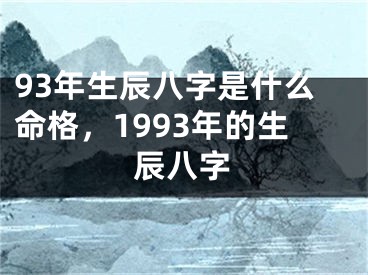 93年生辰八字是什么命格，1993年的生辰八字