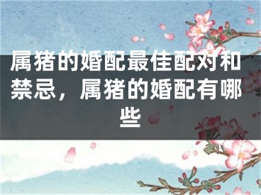 属猪的婚配最佳配对和禁忌,属猪的婚配有哪些