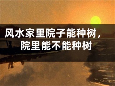 风水家里院子能种树，院里能不能种树
