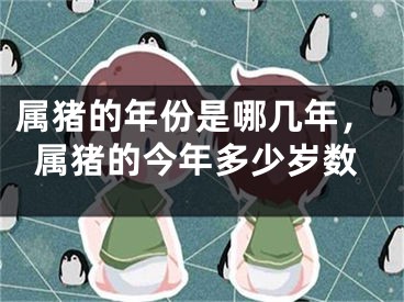 属猪的年份是哪几年，属猪的今年多少岁数