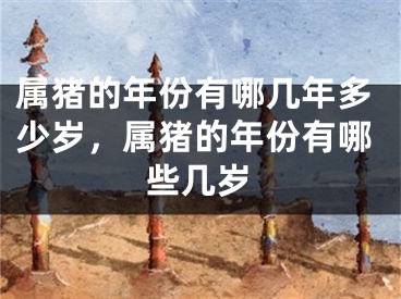 属猪的年份有哪几年多少岁，属猪的年份有哪些几岁