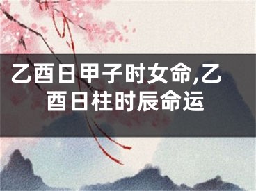 乙酉日甲子时女命,乙酉日柱时辰命运